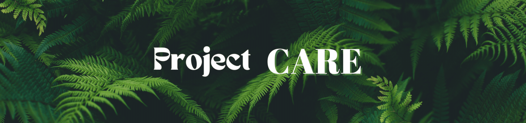 CARE  project image