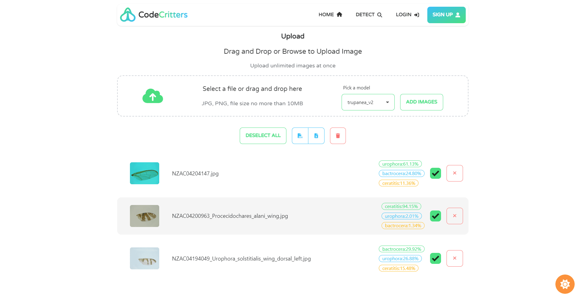 https://capalyst-web-storage.s3.ap-southeast-2.amazonaws.com/images/1759813423678_filename.ext
