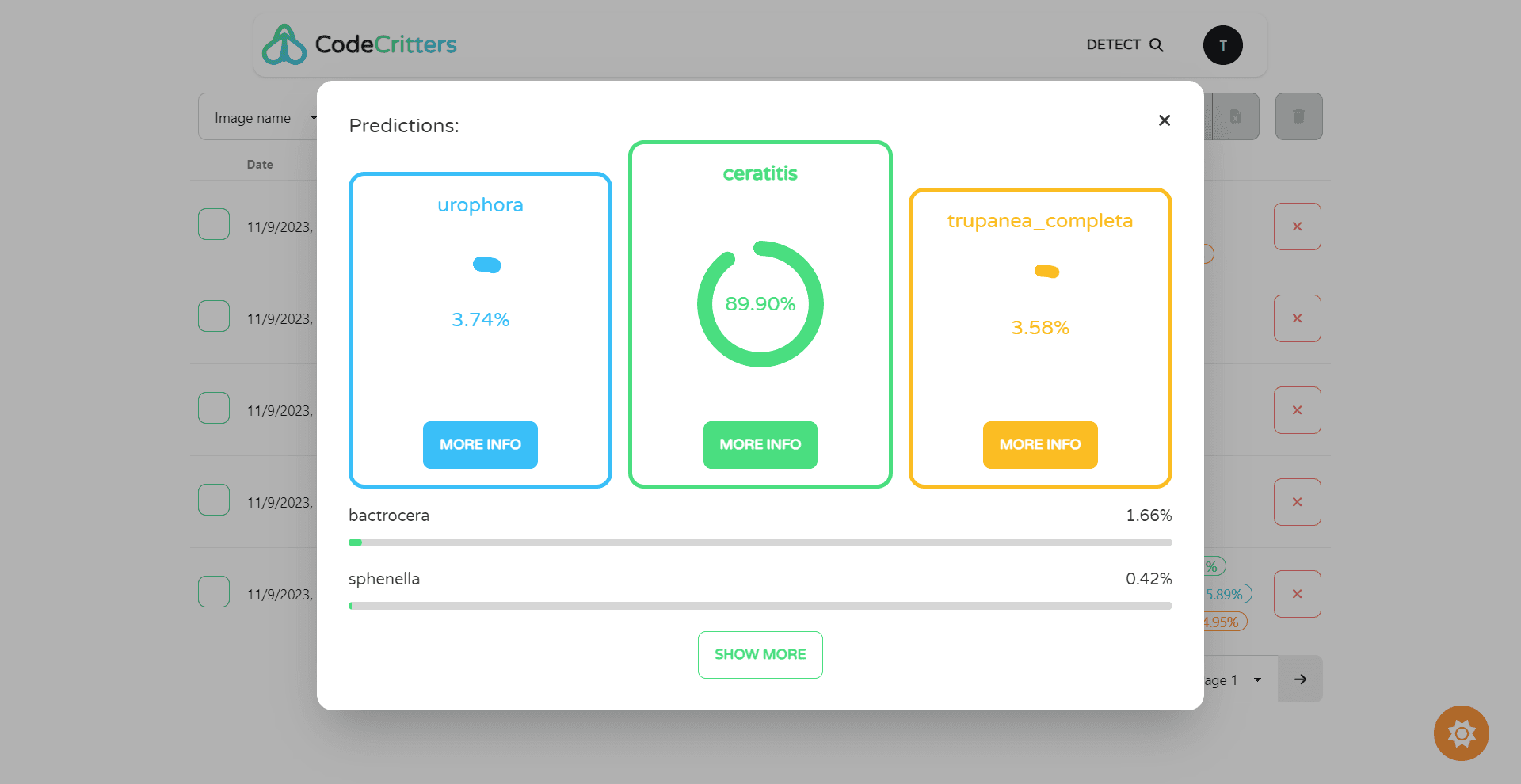 https://capalyst-web-storage.s3.ap-southeast-2.amazonaws.com/images/1759813423791_filename.ext
