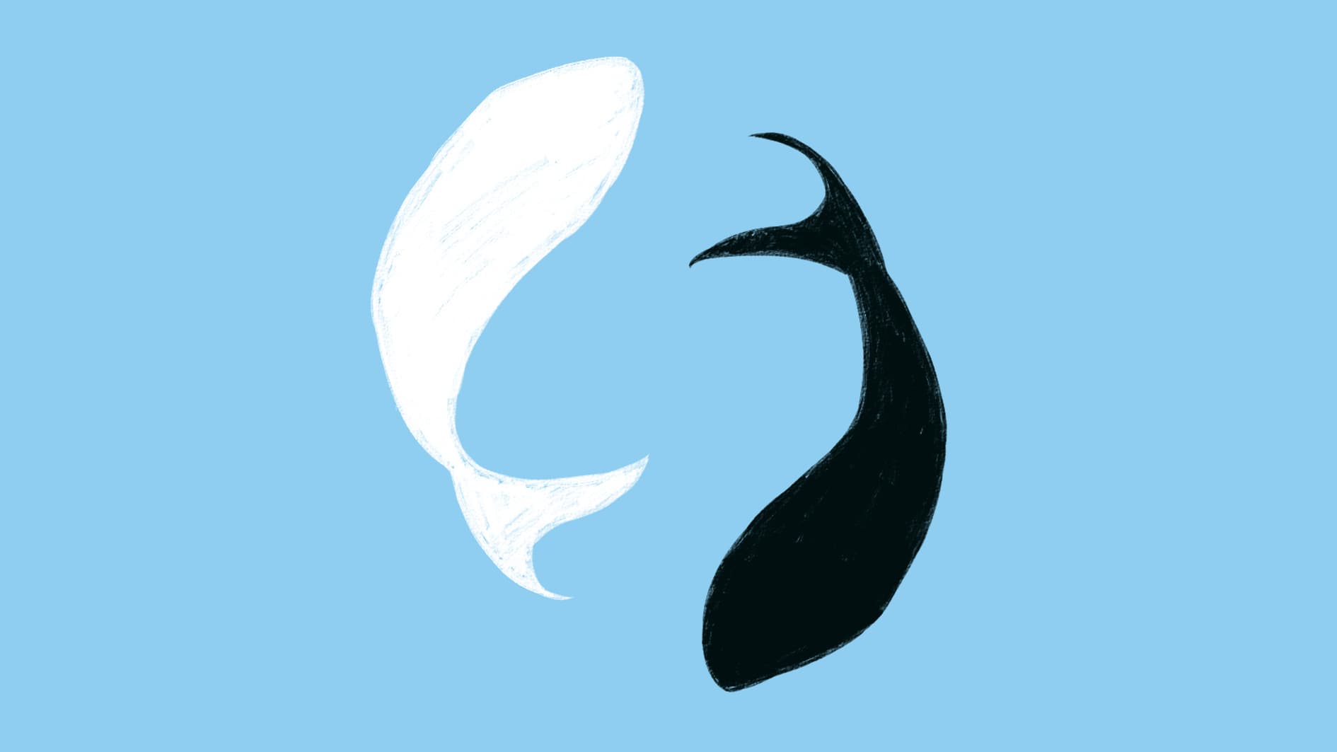 Dhyana project image