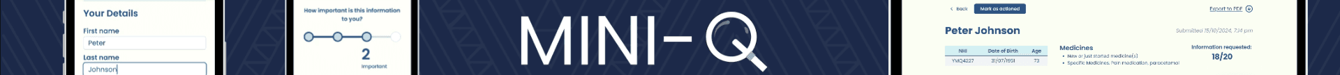 MINI-Q project image