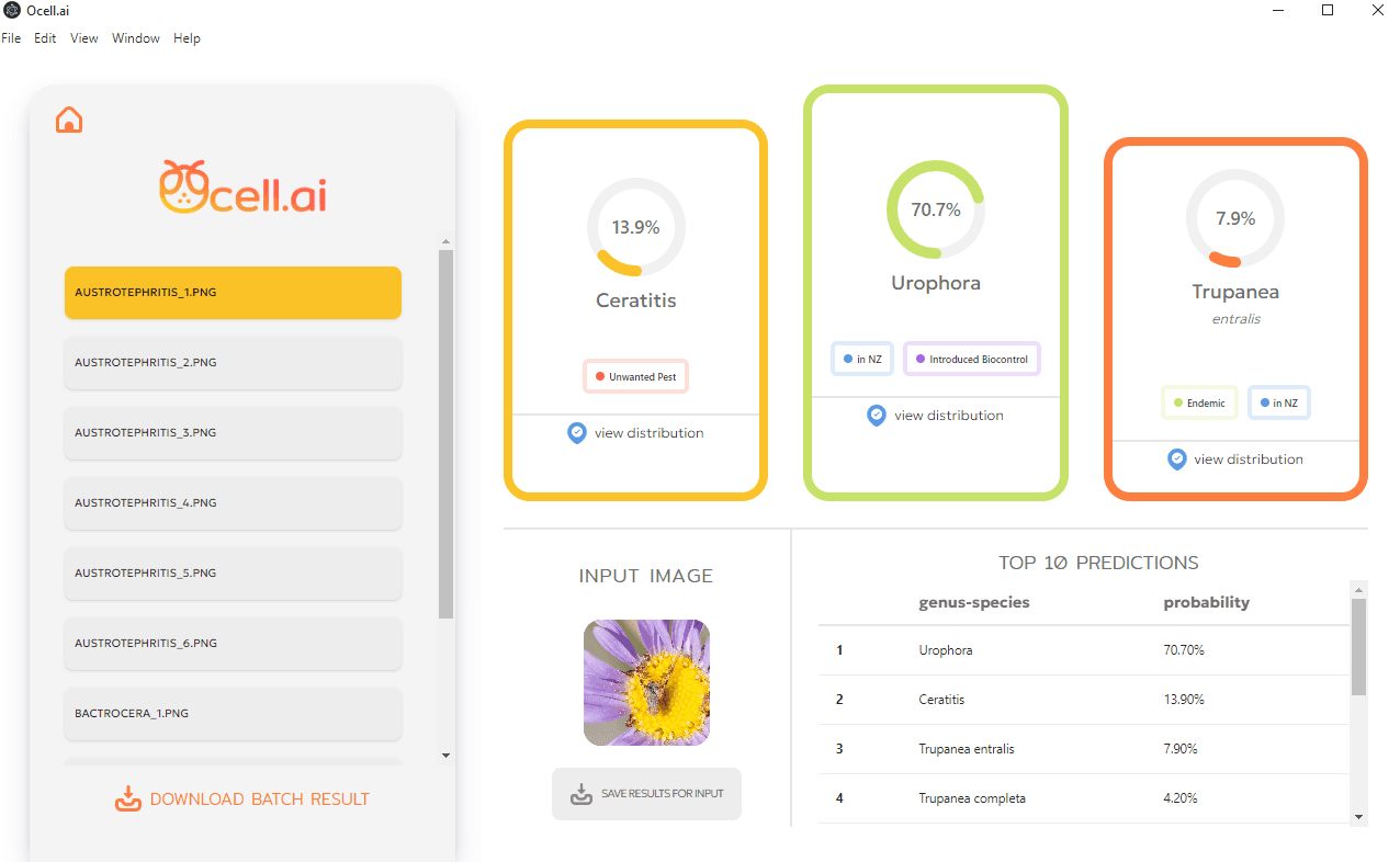 https://capalyst-web-storage.s3.ap-southeast-2.amazonaws.com/images/1759813473168_filename.ext